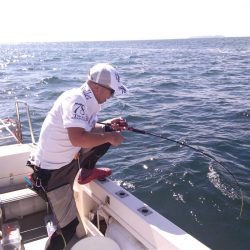 大阪湾 遊漁船SOUTH釣果