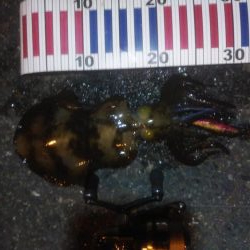 マゴチ＆エギング