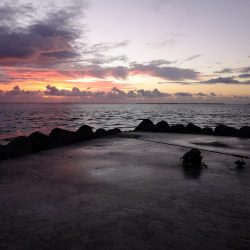 メッキ三種盛り