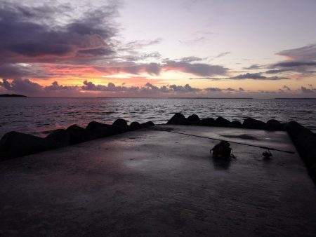 メッキ三種盛り