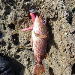 なかなか厳しくなってます( ノД`)…