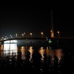 (2020/10/22 南港ヘチ釣り キビレチヌ41cm ガシラ 釣果有り)