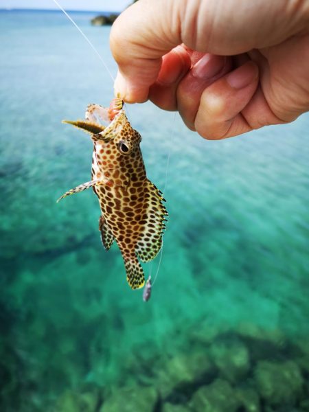 ファミリーフィッシング