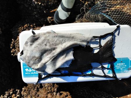 フカセ‥最高ですネ・・