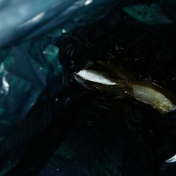 西国回りの序でに