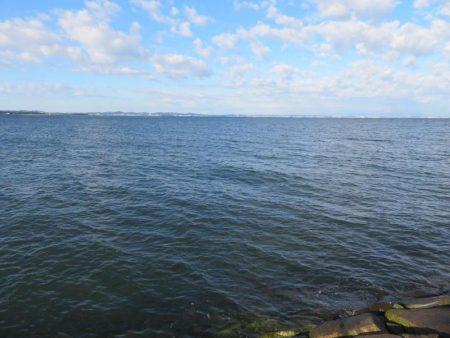 なんとヒラメをゲット！