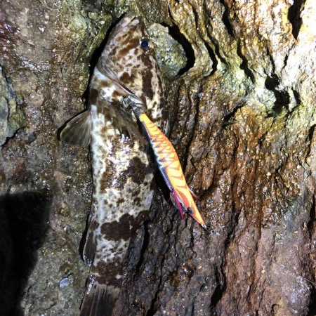 2020 佐渡ヶ島エギング 24回目