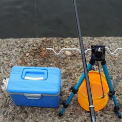 エビ撒き釣り　夕暮れにハネ