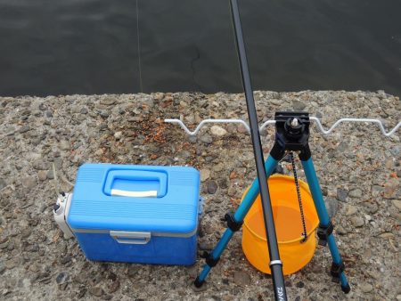 エビ撒き釣り　夕暮れにハネ