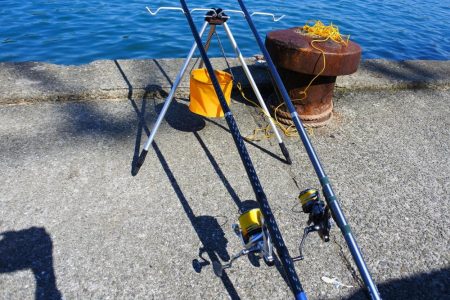 落ちギスを狙ったが不調