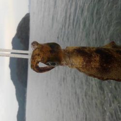 デイ調査～✌️