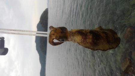 デイ調査～✌️