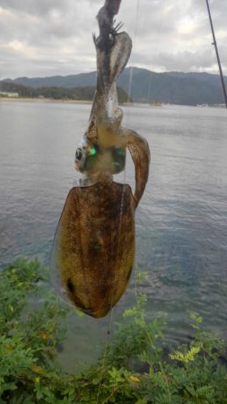 ポイント変えて?