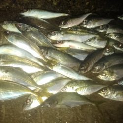 フロートゲーム