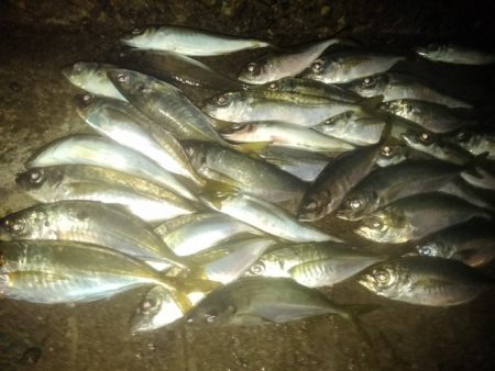 フロートゲーム