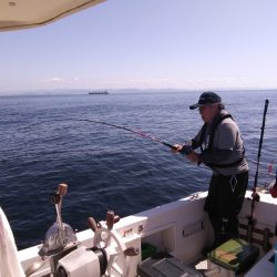 遊漁船SOUTH 10/2釣果