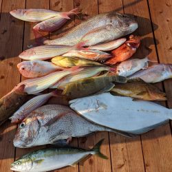 萩沖マイボート10月3日釣果！！