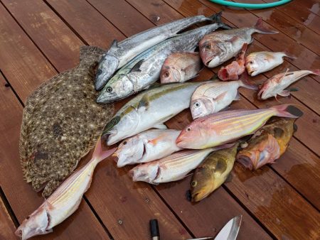 ヒラメにヒラソにマダイにサワラ