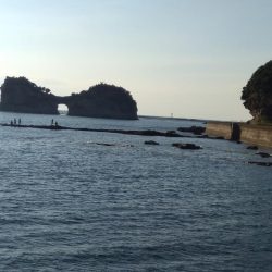 ジグたんゲーム十目！