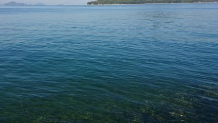 だいぶ大きくなりました!