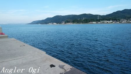 西浦でも日没直後にデカアジ入れ食い!