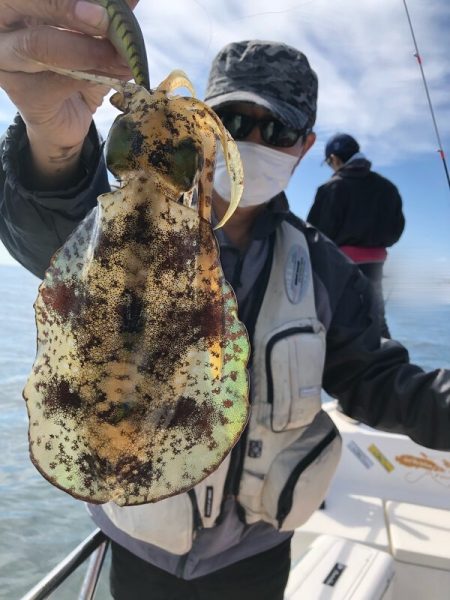 Magic（マジック） 釣果