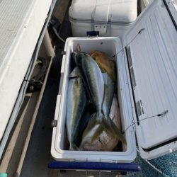 第八大安丸 釣果