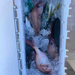 龍宮丸 釣果