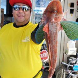遊漁船 ニライカナイ 釣果