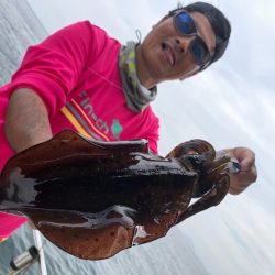 Magic(マジック) 釣果