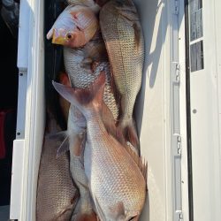 オーシャンズ　京都 釣果