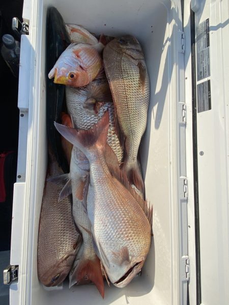 オーシャンズ　京都 釣果