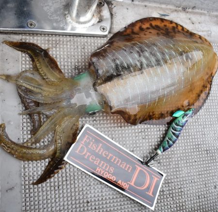 Fisherman Dreams DI 釣…