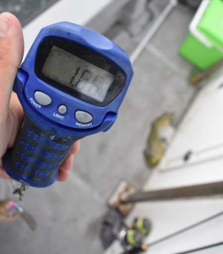 Fisherman Dreams DI 釣果