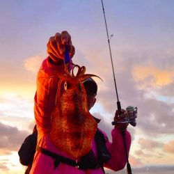 Fisherman Dreams DI 釣果