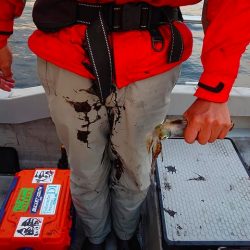 Fisherman Dreams DI 釣果