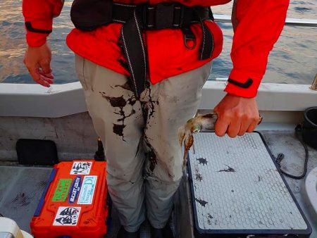 Fisherman Dreams DI 釣果