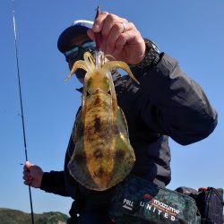 Fisherman Dreams DI 釣果