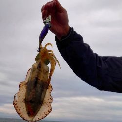 Fisherman Dreams DI 釣果