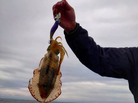 Fisherman Dreams DI 釣果