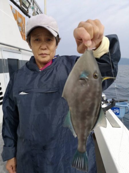 泰丸 釣果