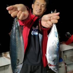 泰丸 釣果