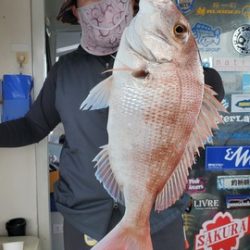 遊漁船 ニライカナイ 釣果