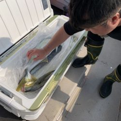 第八大安丸 釣果