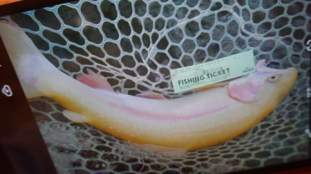 フィッシングレイクたかみや 釣果