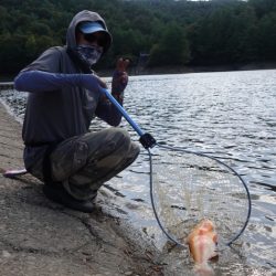 フィッシングレイクたかみや 釣果