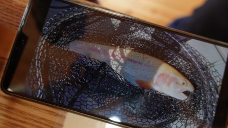 フィッシングレイクたかみや 釣果