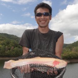 フィッシングレイクたかみや 釣果