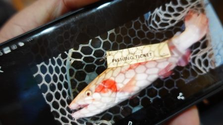 フィッシングレイクたかみや 釣果