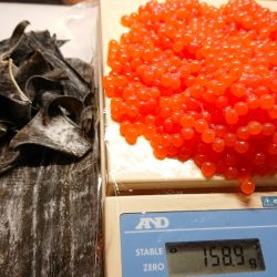 フィッシングレイクたかみや 釣果